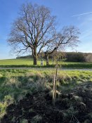 Img_6707_2 Img_6707_2